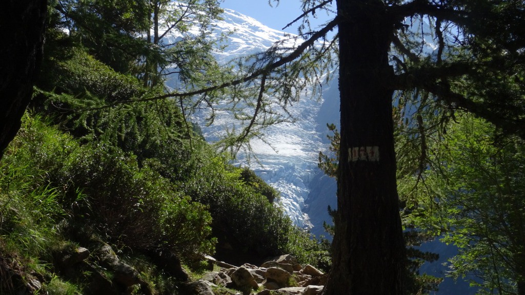 Cailloux, mélèzes, glacier, soleil... Cham !