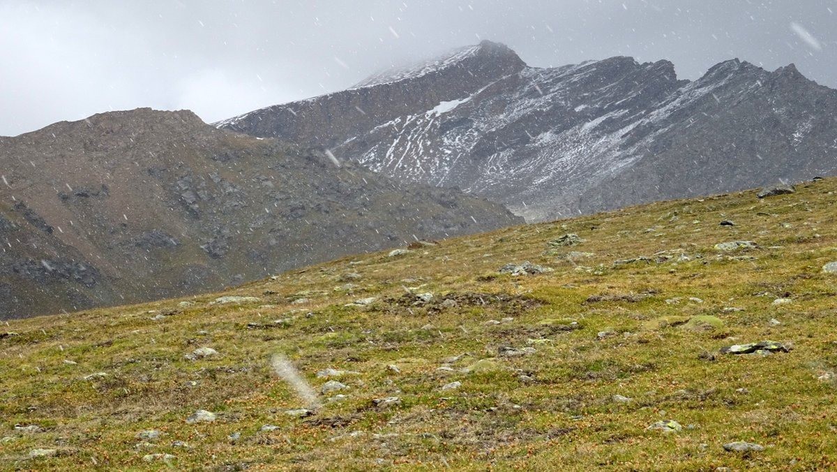 grésil, froid et vent