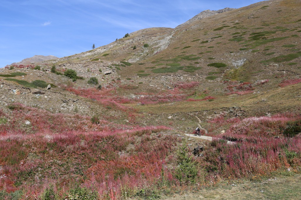 Qq couleurs sympas qd même ! 