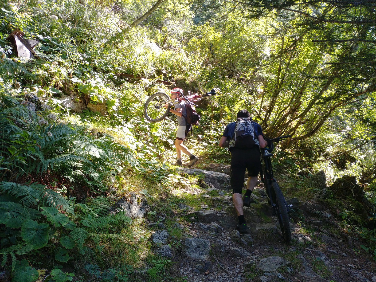 Dans la jungle du bas