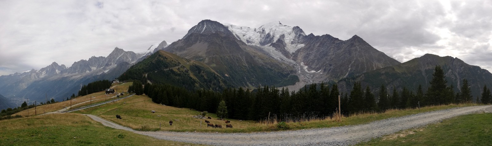 terrain de jeu de l'après midi