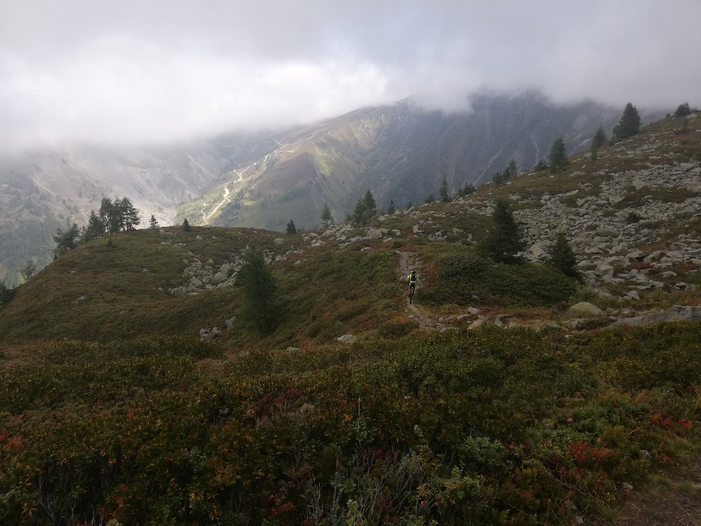 #4 extra le haut extra le haut