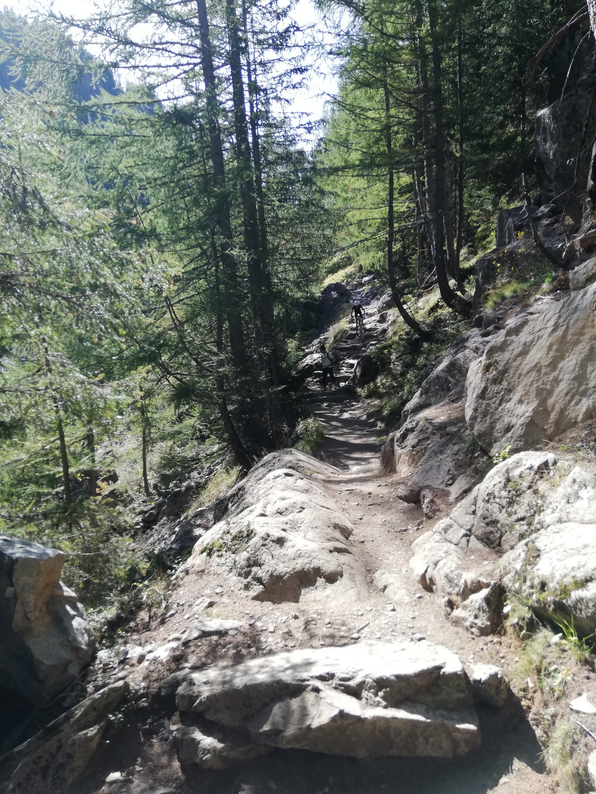 dans le bas du vallon Bérard