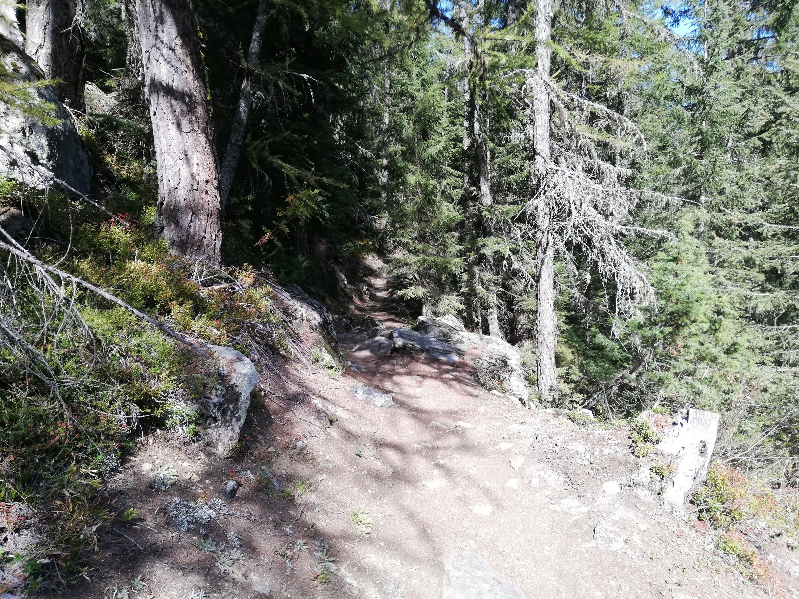 remontée pour aller récupérer la descente finale par Sur le Rocher