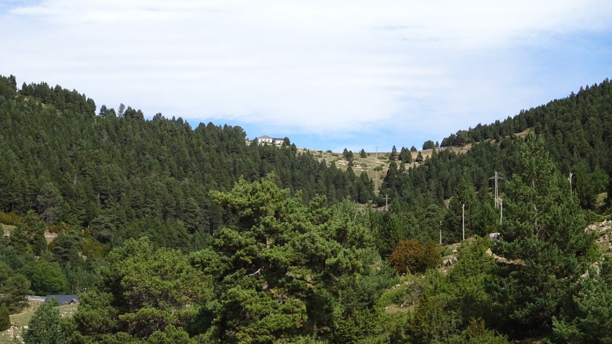 #3 Le col Le col