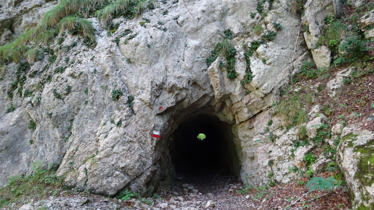 #10 Tunnel Tunnel