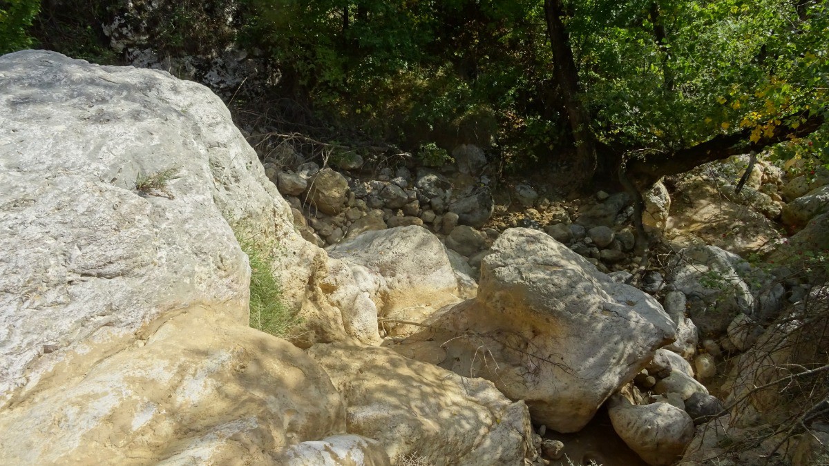 #20 Pas d Pas d'eau mais belle bassine