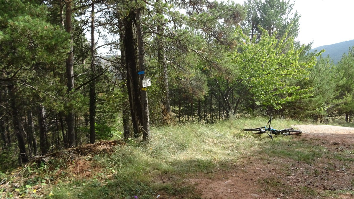 Le sentier part à gauche