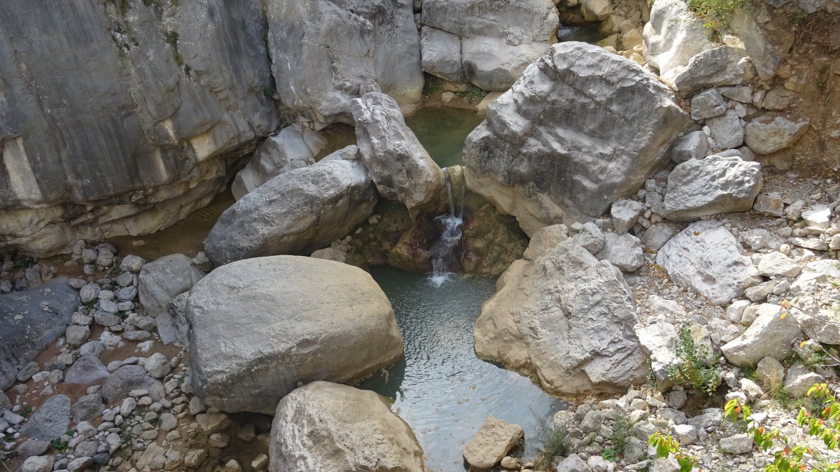 #29 Baignade ? Baignade ?