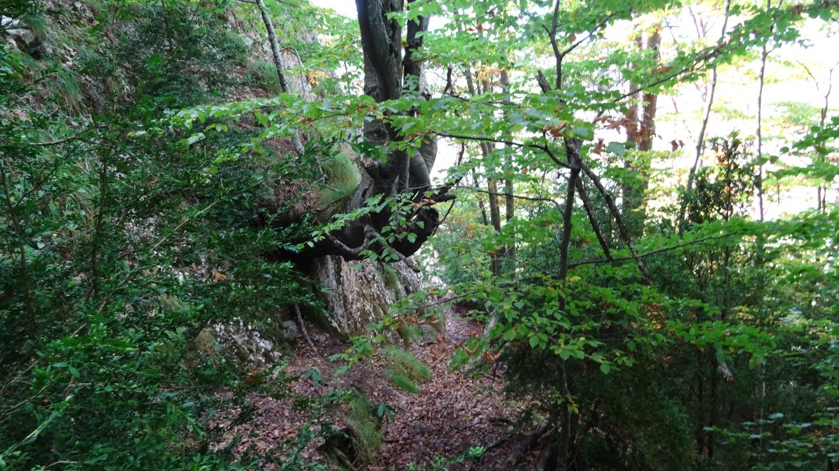 En bas du passage câblé 