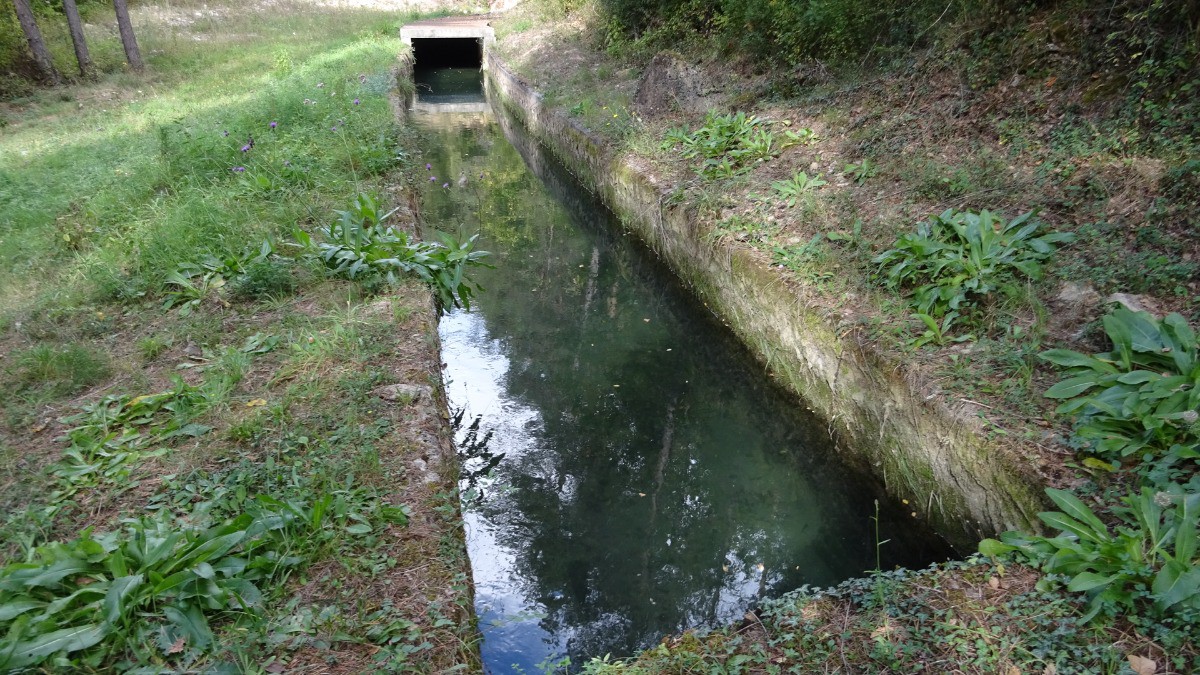 #24 Canal à truites Canal à truites