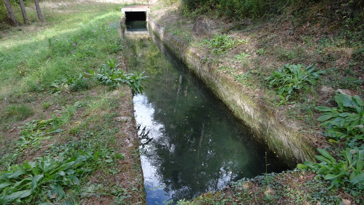 Canal à truites