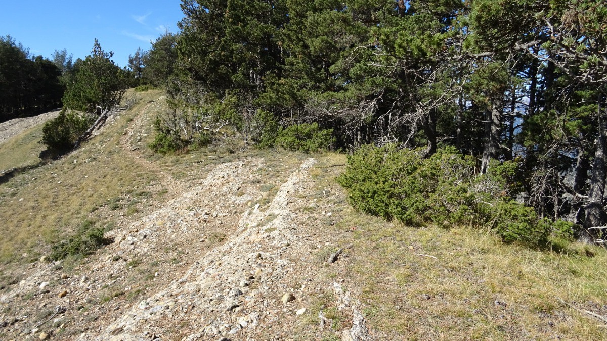 Sentier de crête 