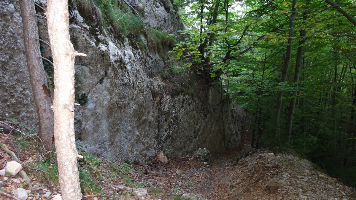#23 The Wolf, en ras de falaise The Wolf, en ras de falaise