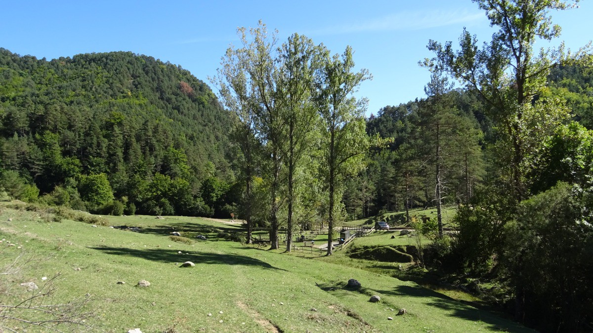 joli vallon après les gorges