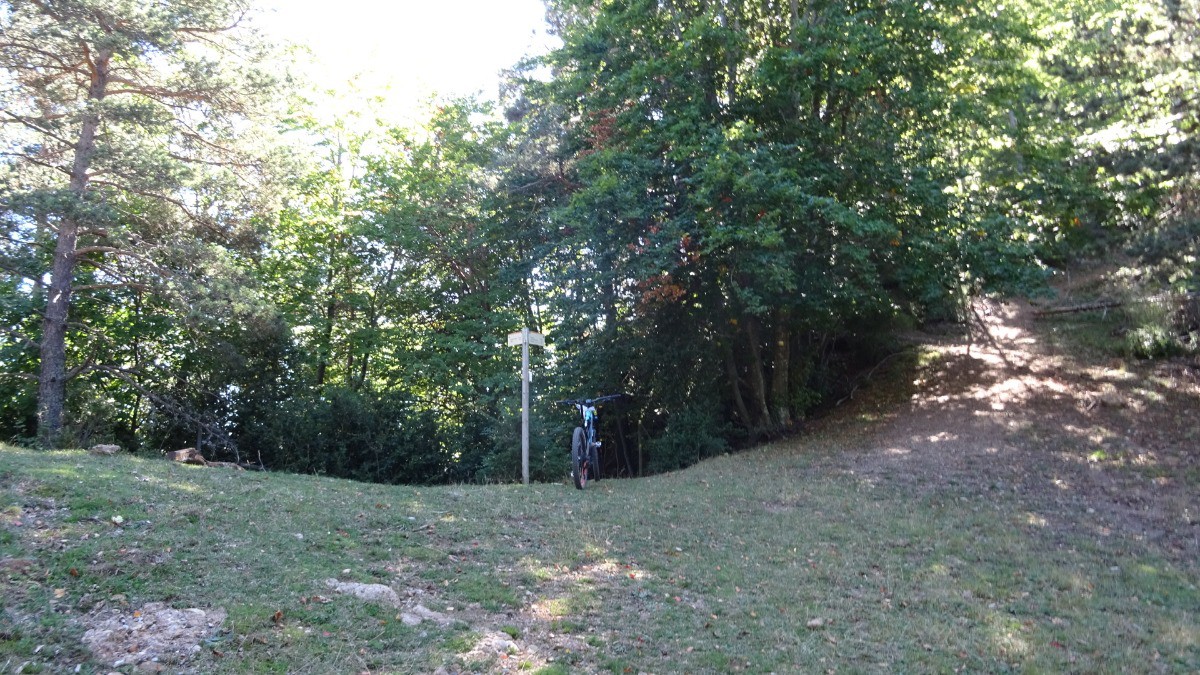 #11 ça part tout droit ça part tout droit