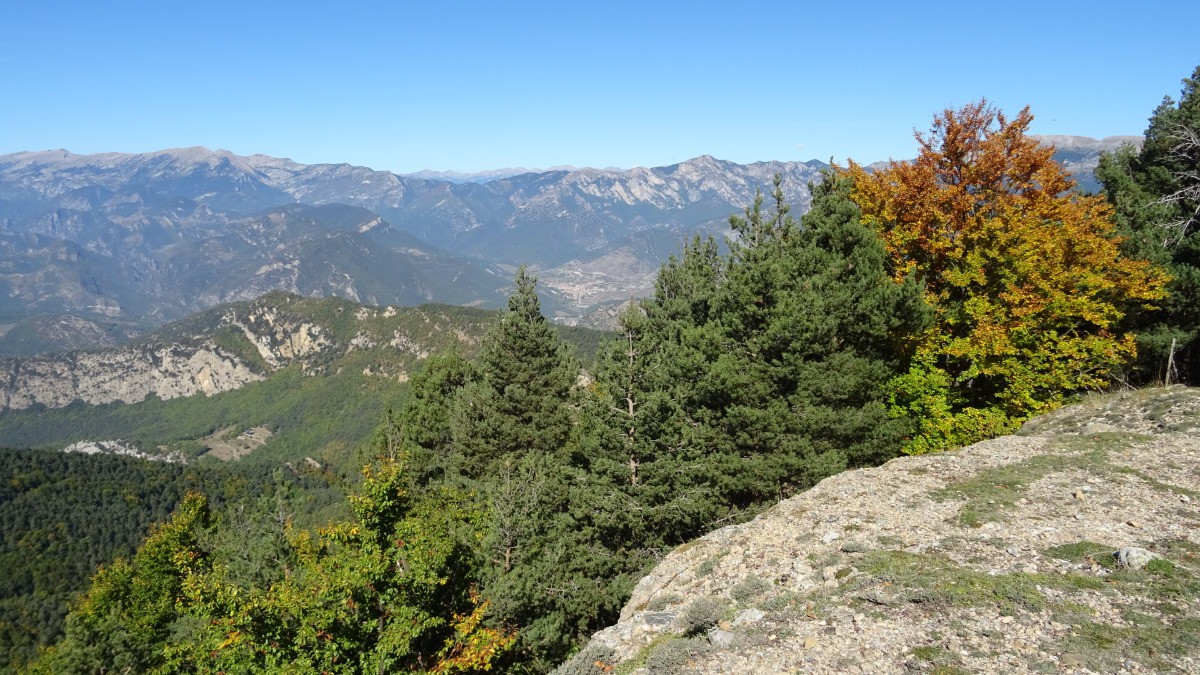 #6 de la vue de la vue