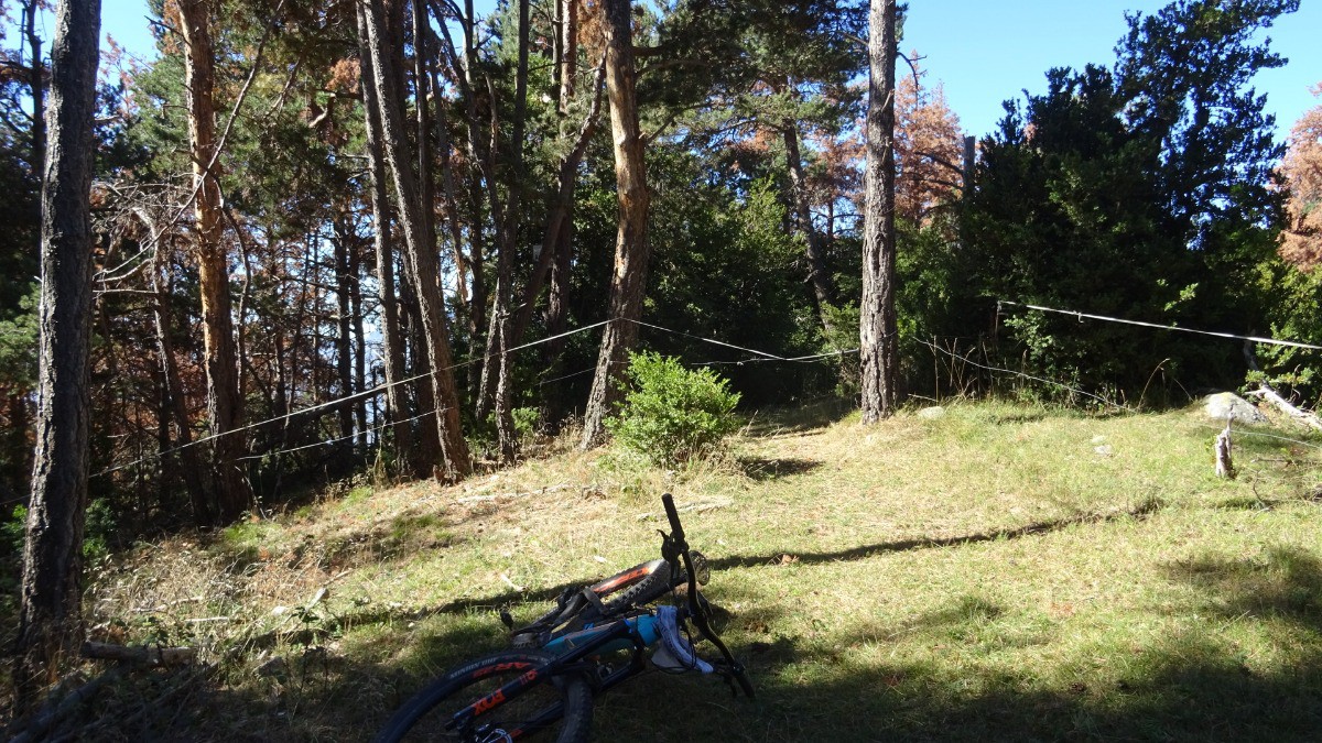 le sentier part à gauche le long de la clôture