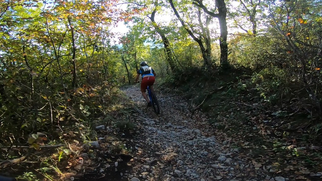 #8 Descente Descente