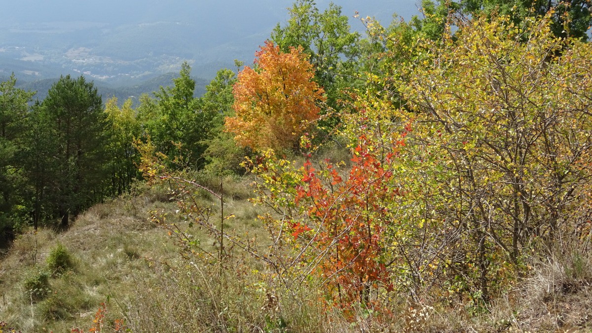 #12 A la porte de l A la porte de l'Automne