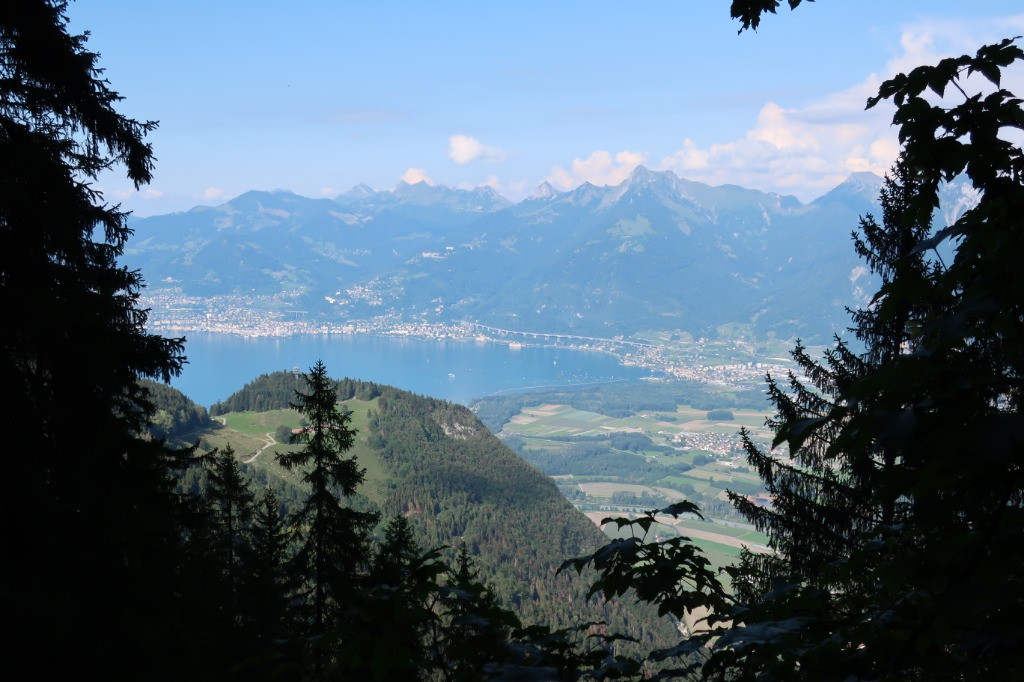 Vue sur le Léman