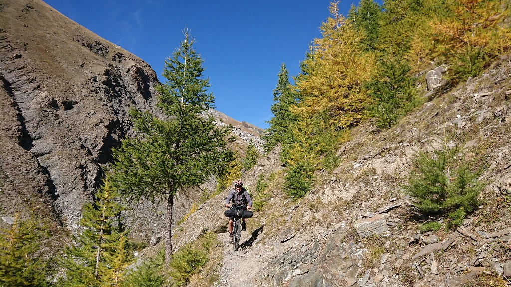 Dans le ravin de la Salcette avant d'arriver à la Combe Brémont