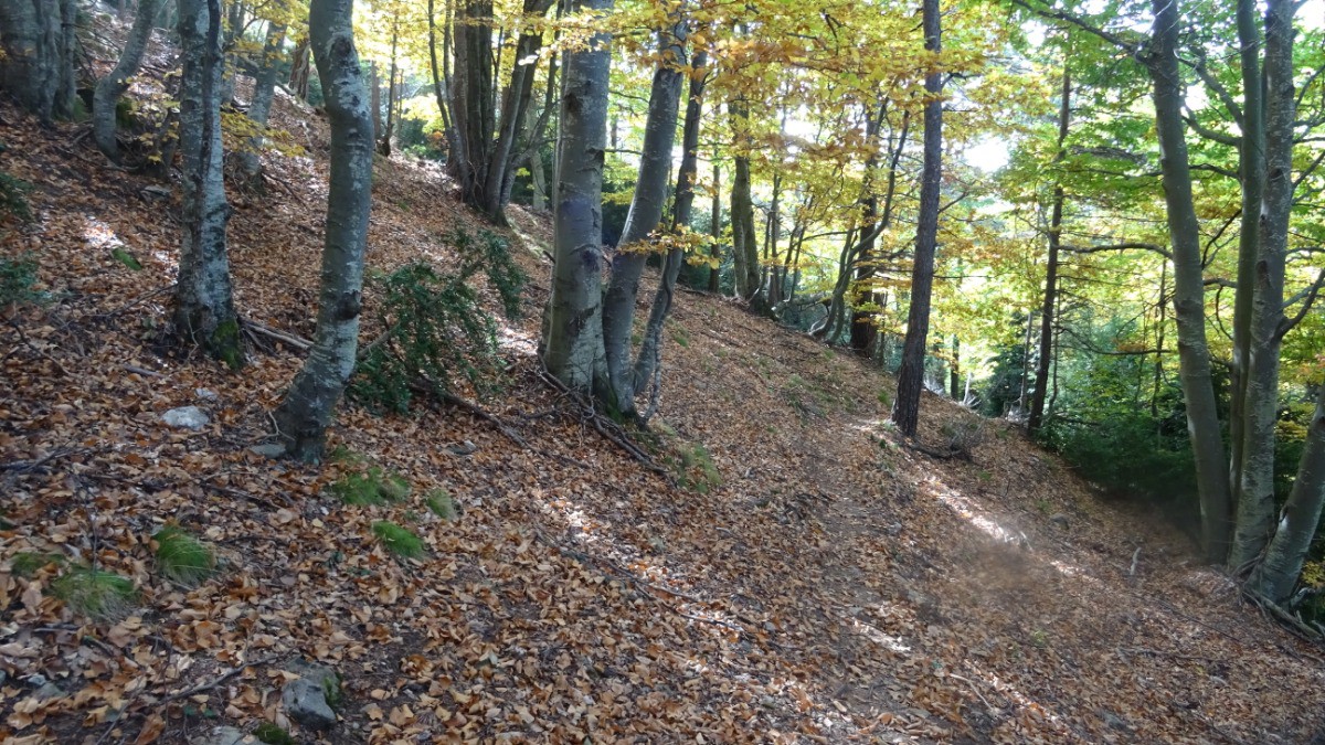 #5 les feuilles mortes vont voler les feuilles mortes vont voler