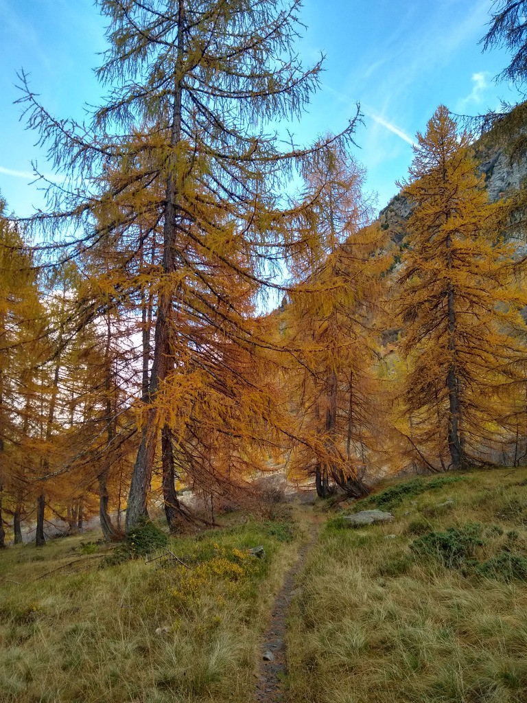 Vallon du Tourond