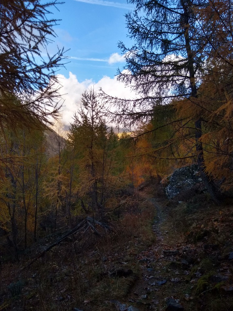 Vallon du Tourond