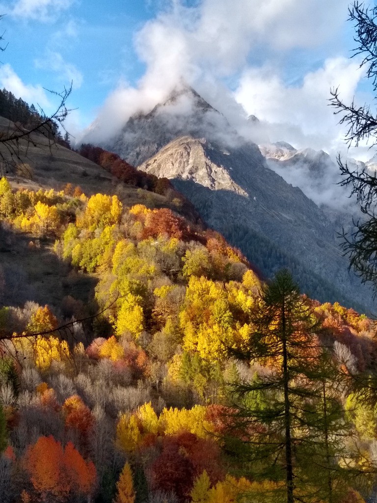 Vallon du Tourond