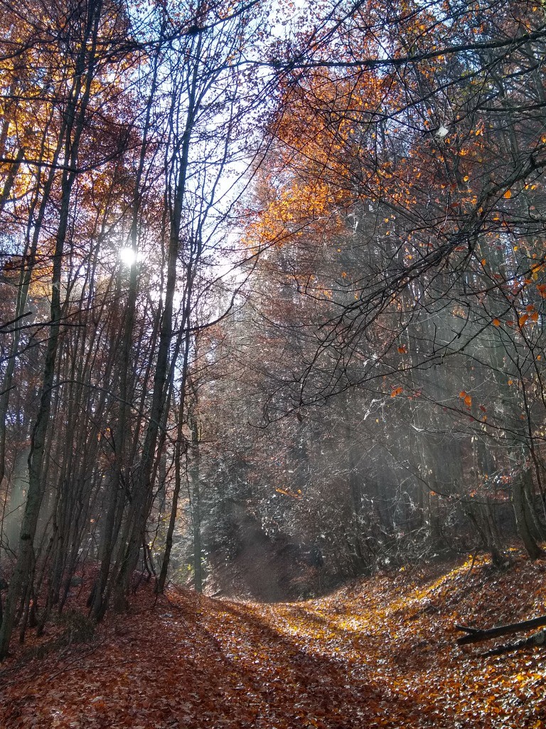 En montant à la Coche