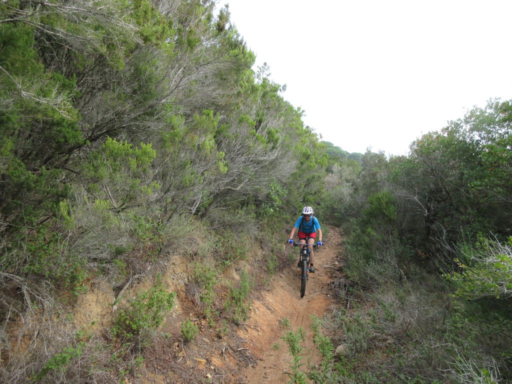 dans le sentier \