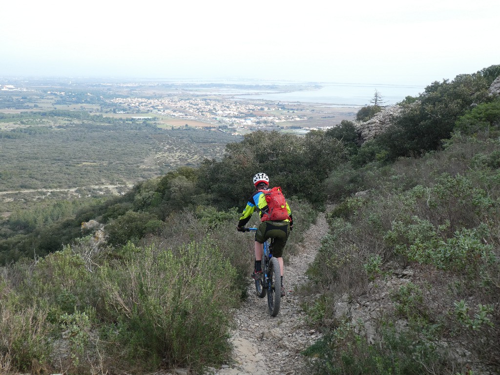 Haut de la Combe des Bestiaux