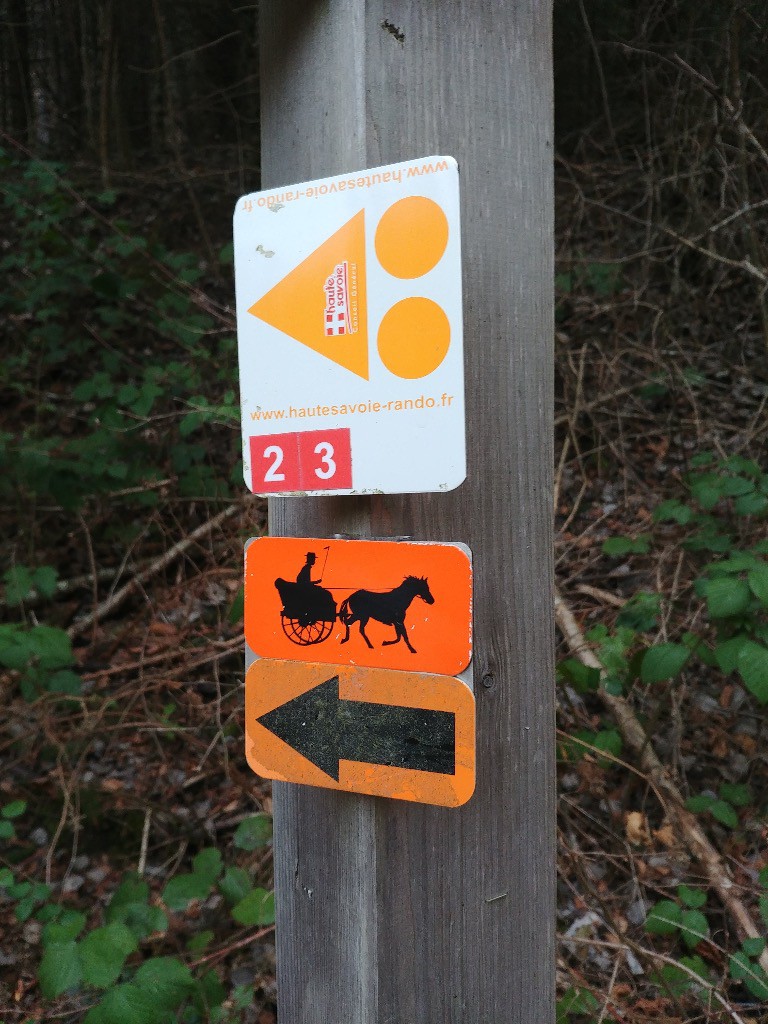 #5 On partage le chemin avec des cochers maintenant :-) On partage le chemin avec des cochers maintenant :-)