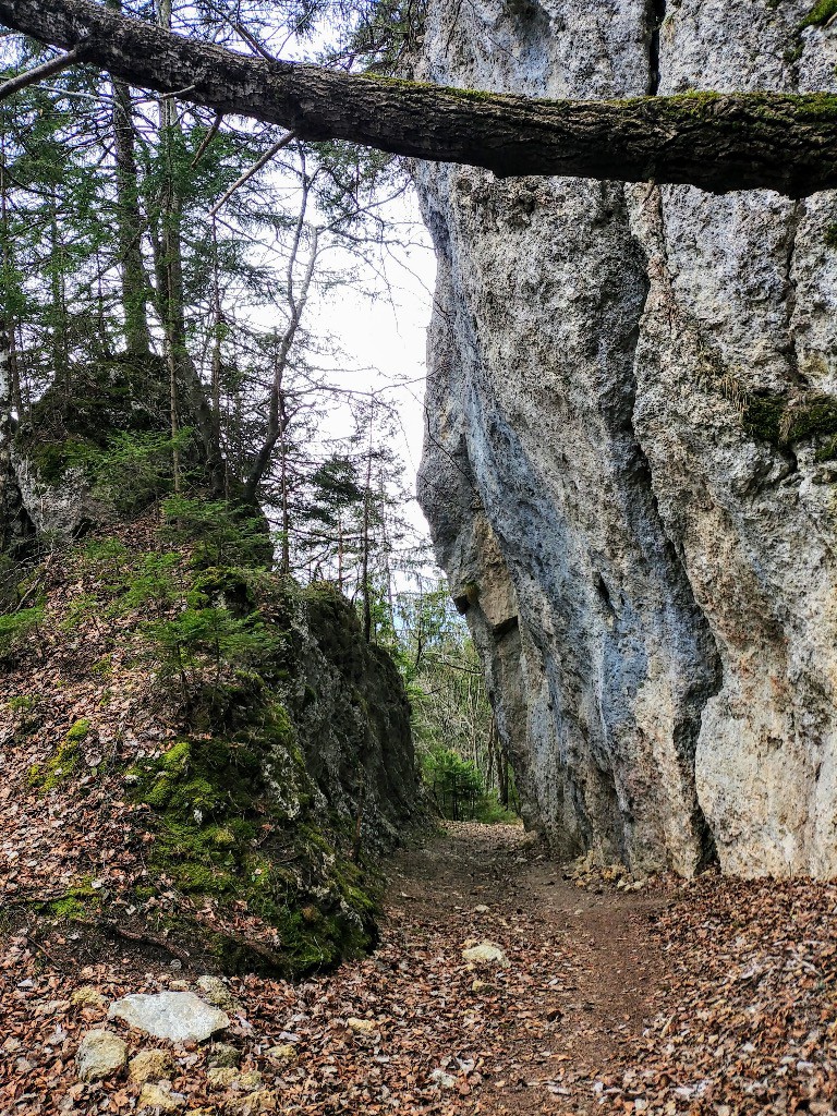 Passage du Pertus et sa belle falaise