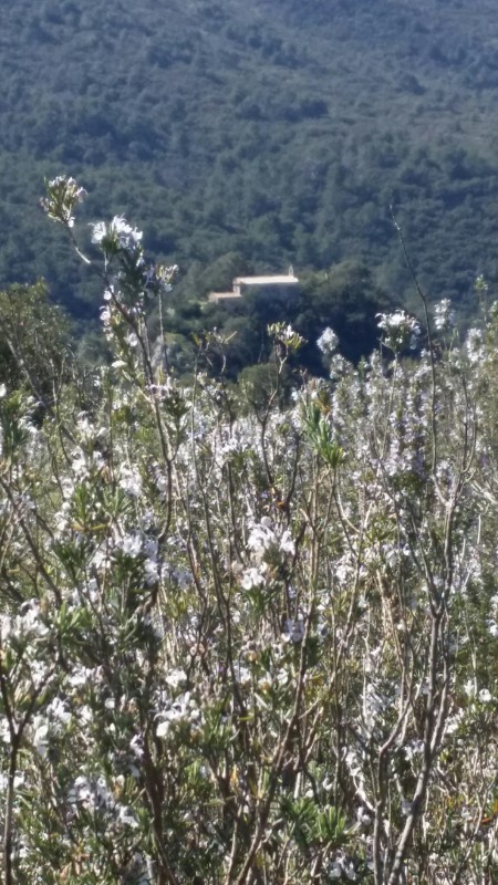 #1 vue depuis "La mouère 2" Nord-Est sur La chapelle vue depuis "La mouère 2" Nord-Est sur La chapelle