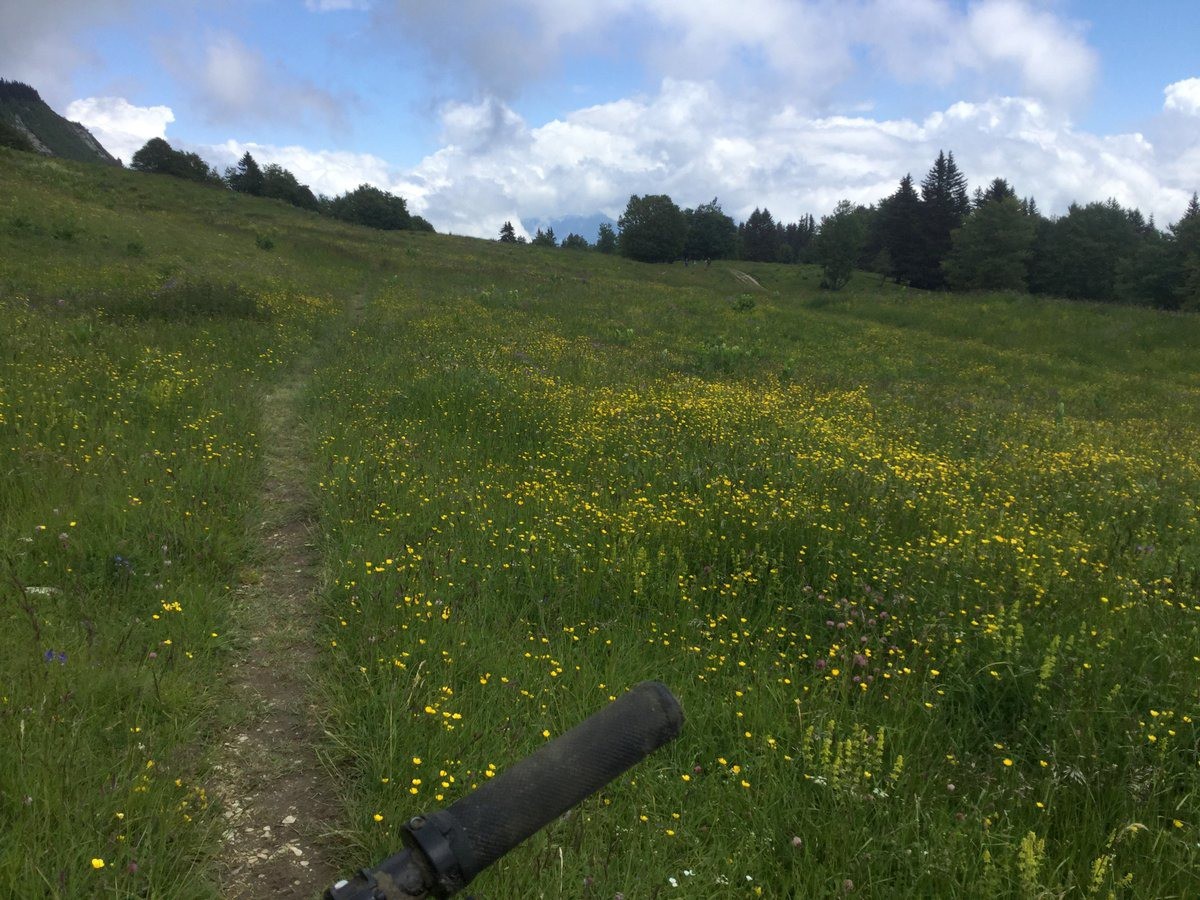 On trouve des sentiers en sortant de la piste ...