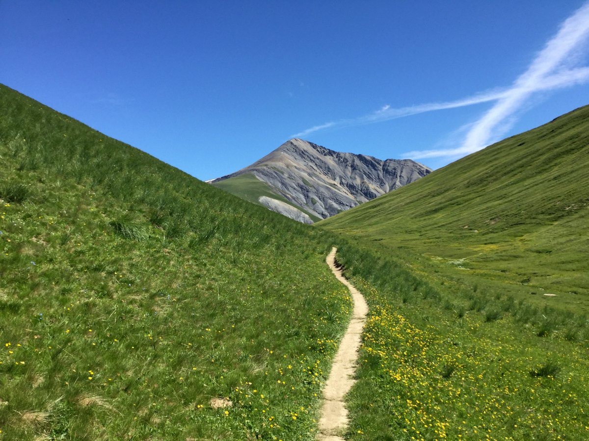 #5 au bout du monotrace, l au bout du monotrace, l'objectif de ce samedi