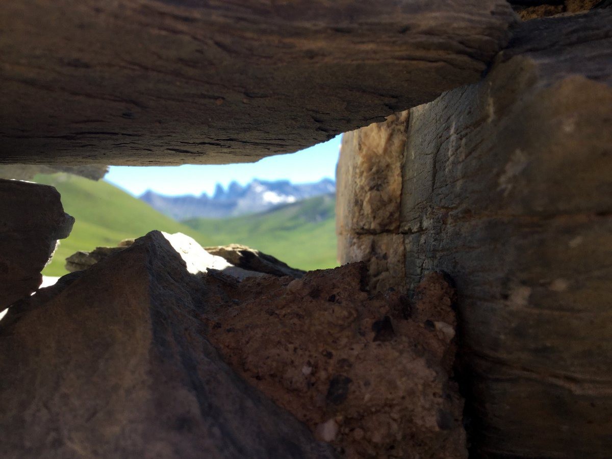 #4 zoomette zoomette