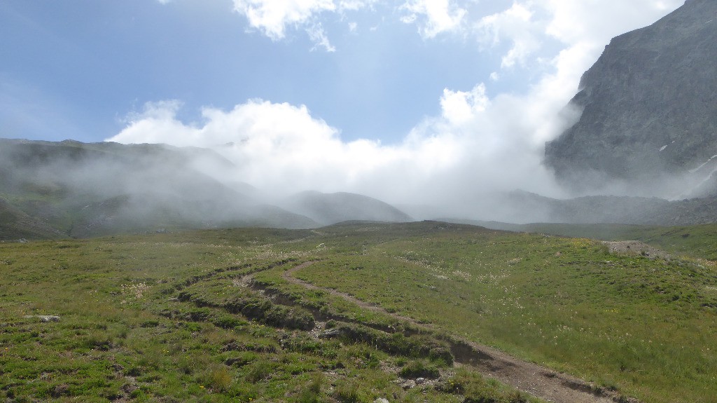 Col d'urine