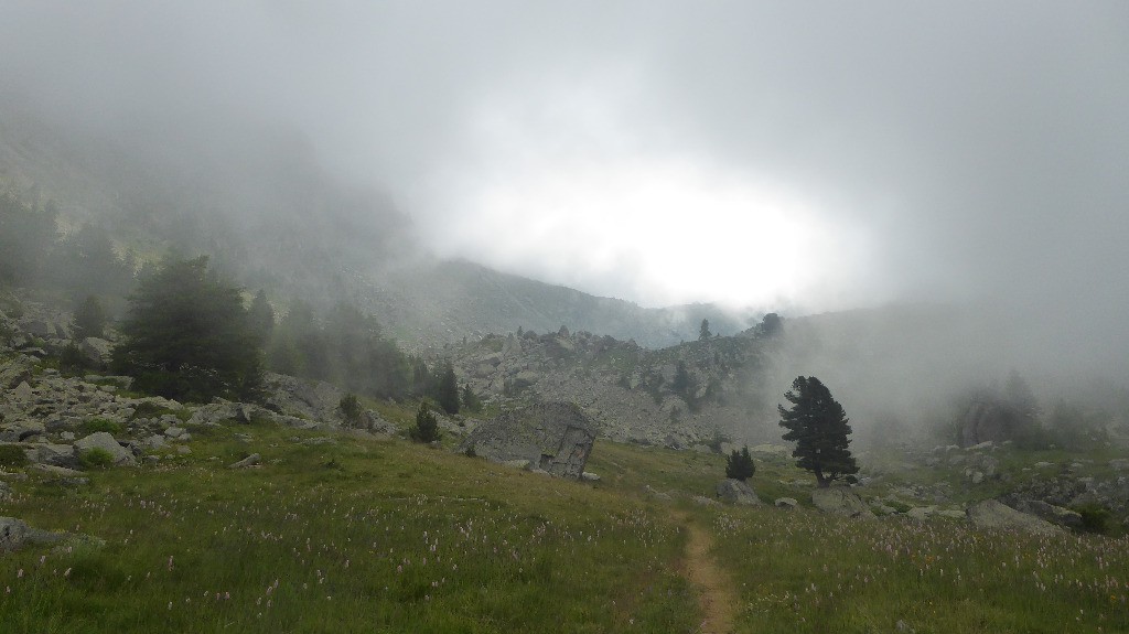 Nebbia sous San Chiaffredo