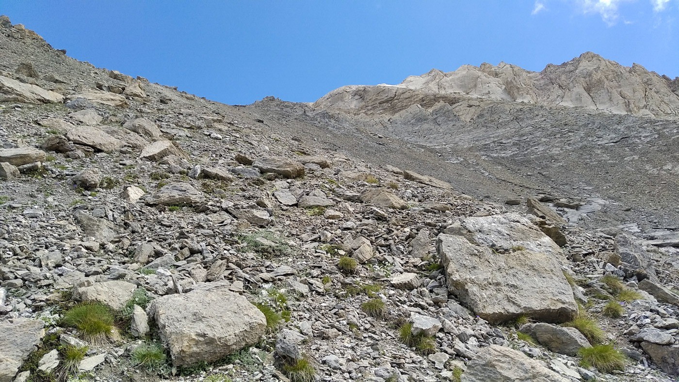 Pente sud ouest de la Saume, vue vers le haut... 