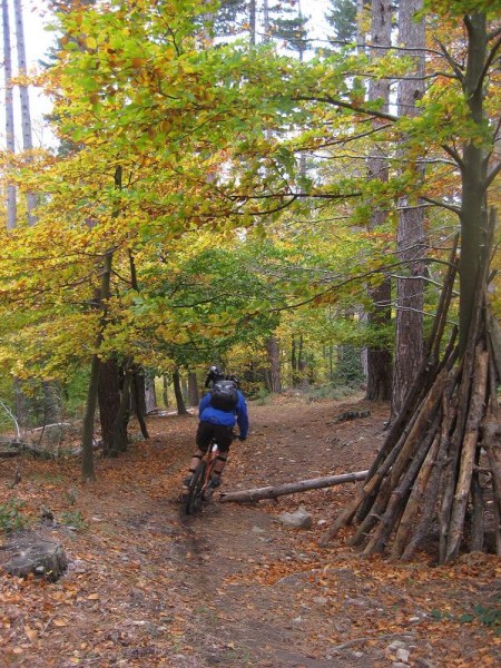 #4 Descente en sous-bois : Un début bien propre et ludique ! Descente en sous-bois : Un début bien propre et ludique !