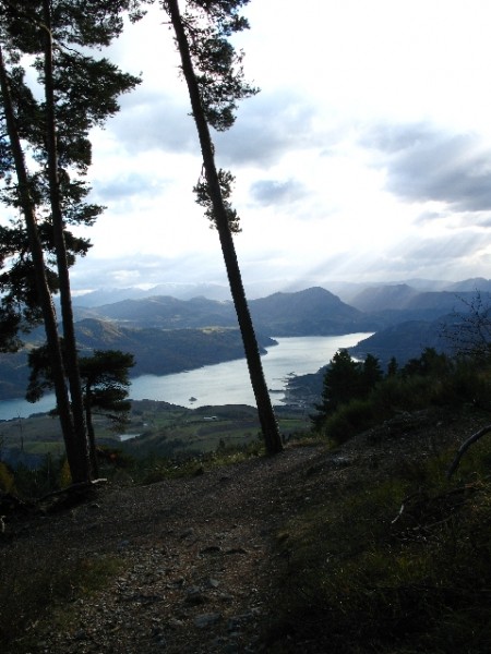 #2 Lac de Serre Ponçon : Descente sur le Lac de St Apollinaire, perso je ne fini pas par la trace de débardage "verticale" mais prend le petit sentier à droite avant de plonger (2 épingles bien) Lac de Serre Ponçon : Descente sur le Lac de St Apollinaire, perso je ne fini pas par la trace de débardage "verticale" mais prend le petit sentier à droite avant de plonger (2 épingles bien)