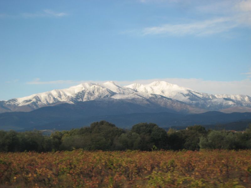 #1 Le Canigou : Bien blanchi aujourd Le Canigou : Bien blanchi aujourd'hui, mais bien venté aussi.