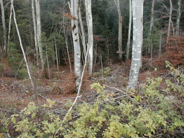 #4 Le hors piste : Et oui, la suite de l Le hors piste : Et oui, la suite de l'itinéraire passe tout droit ! Un peu tard pour aujourd'hui on verra la prochaine fois