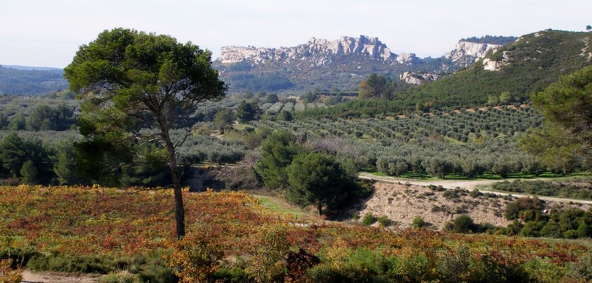 Les Baux de Provence : La note touristique
