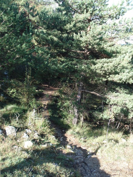 #4 Colla Bassa : Départ du GR Colla Bassa : Départ du GR