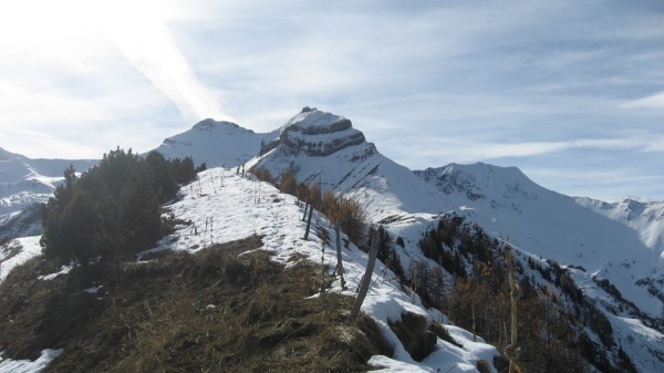 #8 Crêtes de Croix de la Garde : Ca sera pas pour cette année mais à tester pour confirmer les dires de BDS Crêtes de Croix de la Garde : Ca sera pas pour cette année mais à tester pour confirmer les dires de BDS
