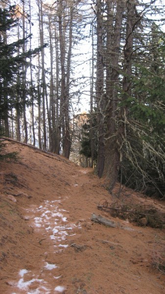 #9 Cruc : La neige sous les aiguilles porte, nickel Cruc : La neige sous les aiguilles porte, nickel
